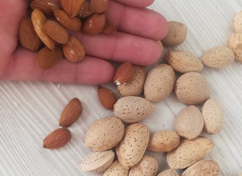 بادام درختی ریز با پوست طعم شیرین و تازه